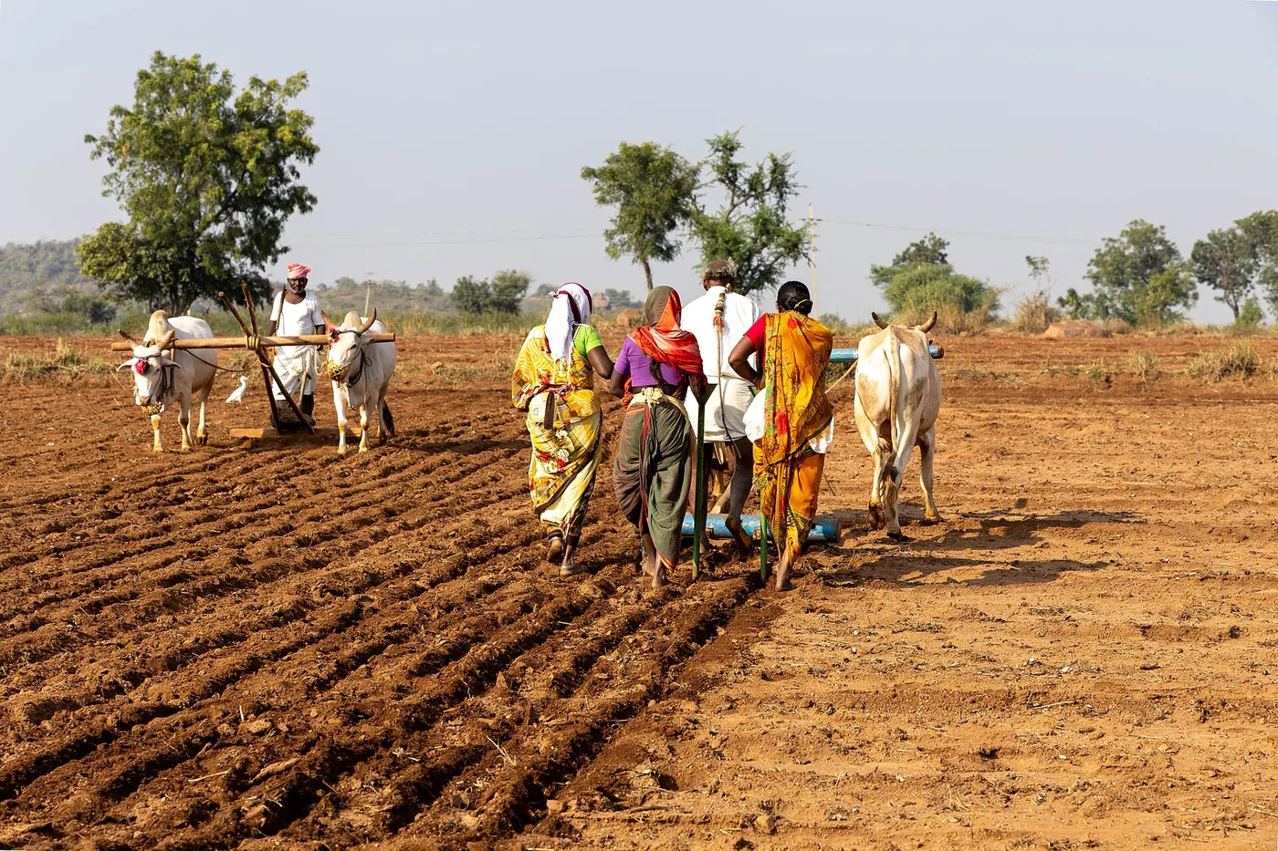 Premium Red Soil Farmland